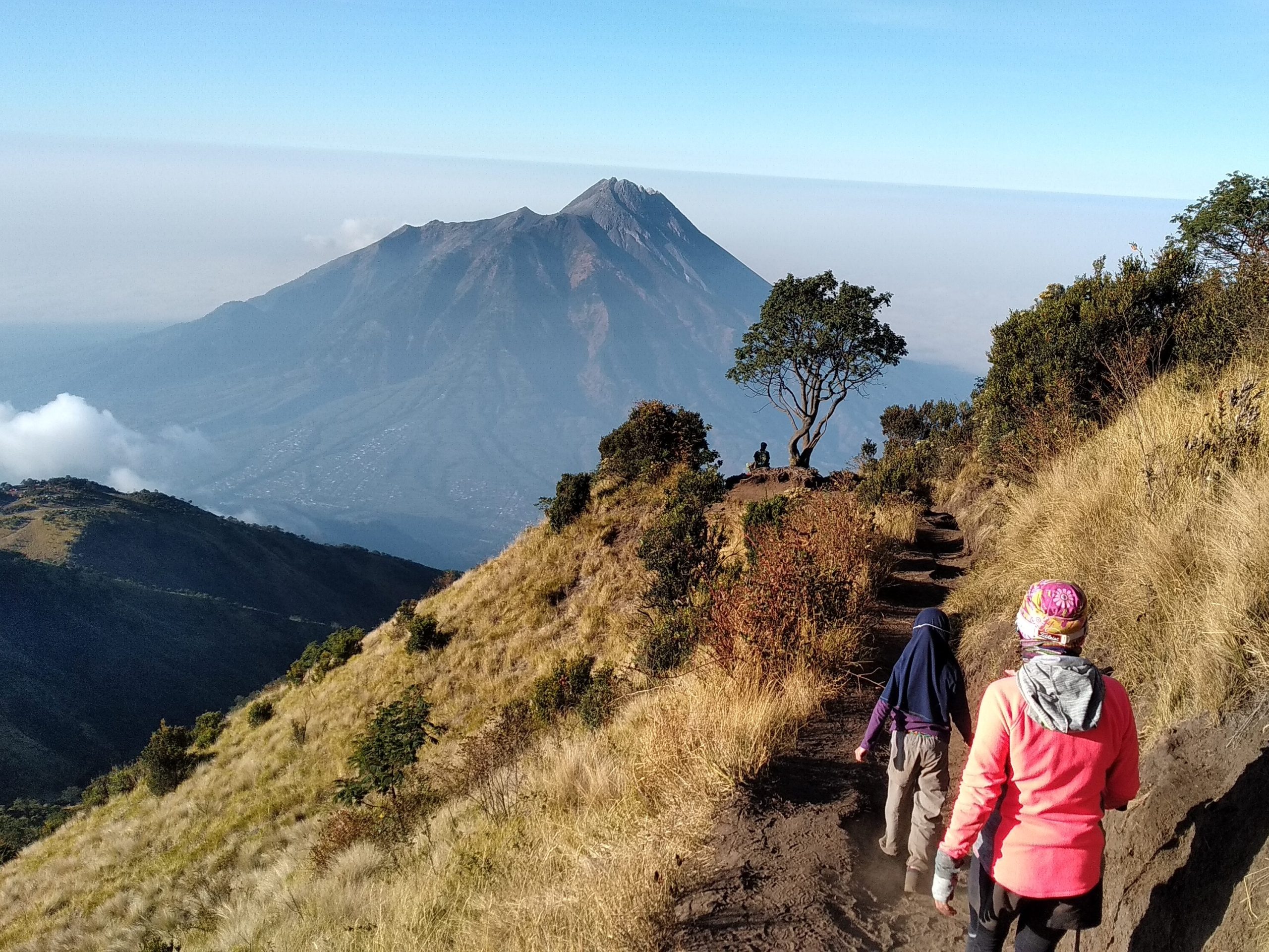 Mount Merbabu (3.145)
